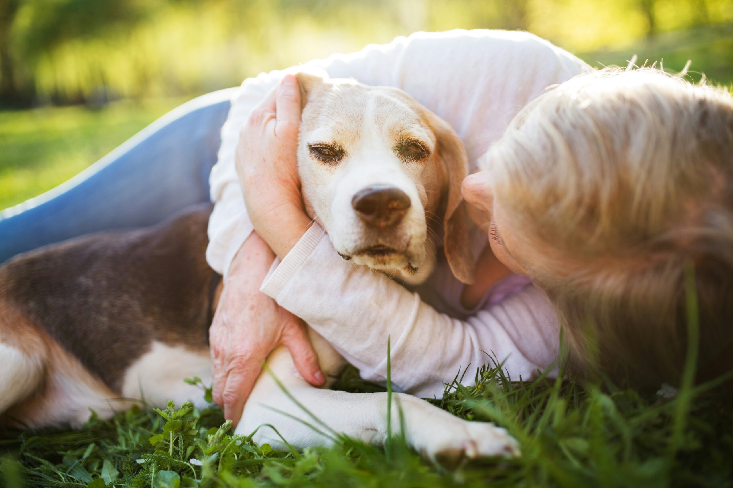 new-pet-image-with-the-lady