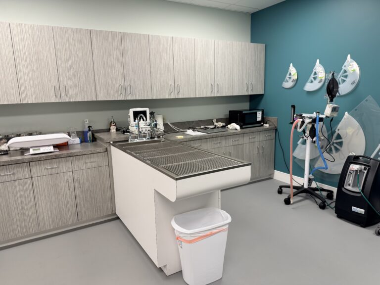 Dental station at McClure Veterinary Clinic