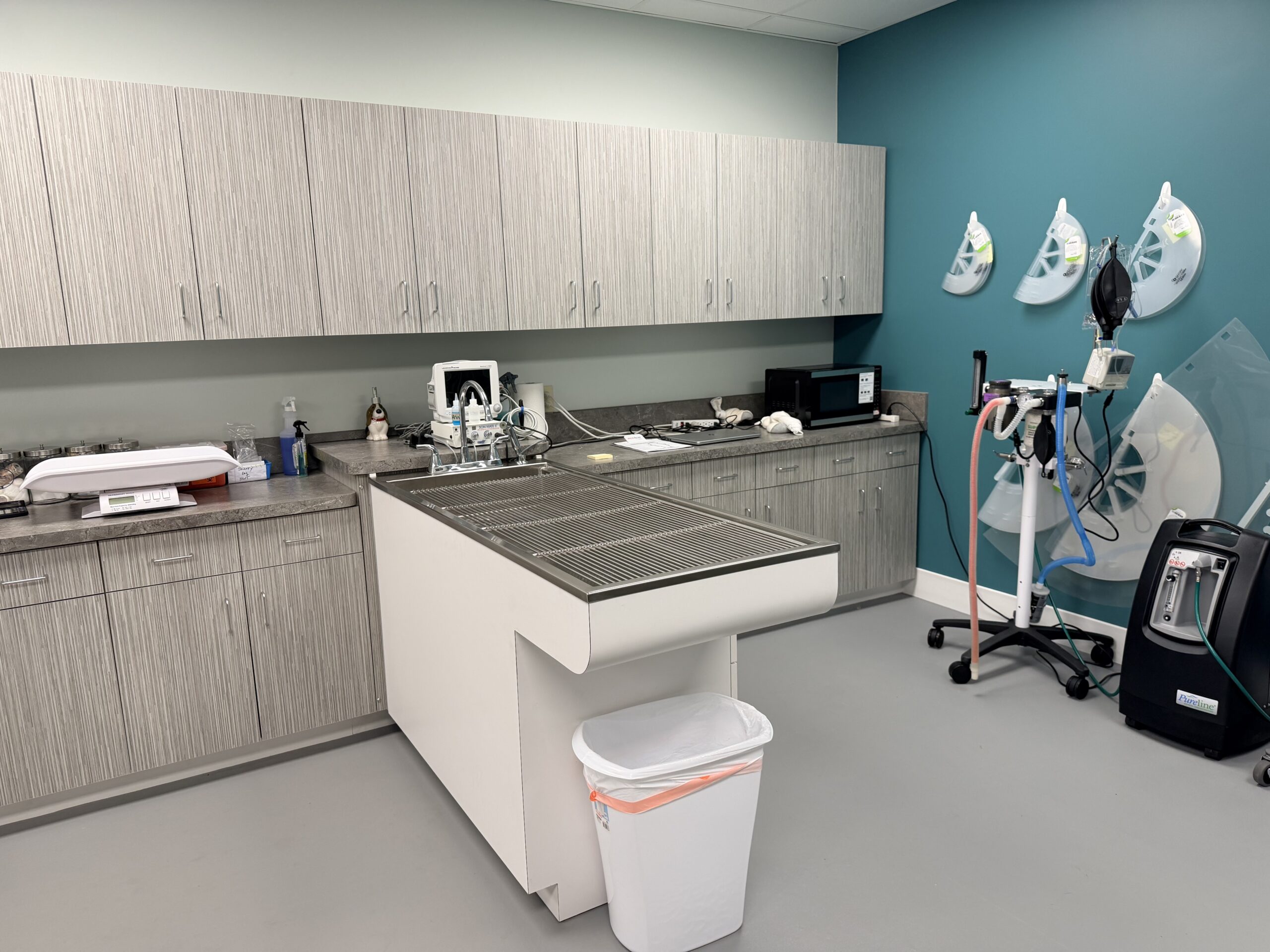 Veterinary Dentistry