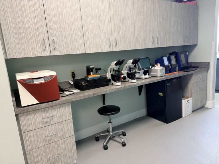 In-clinic laboratory at McClure Veterinary Clinic