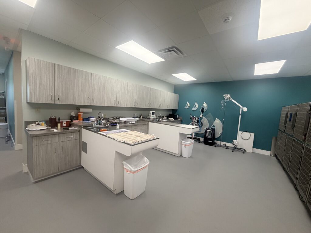 Treatment area inside the new McClure Veterinary Clinic hospital in Ozark, Missouri