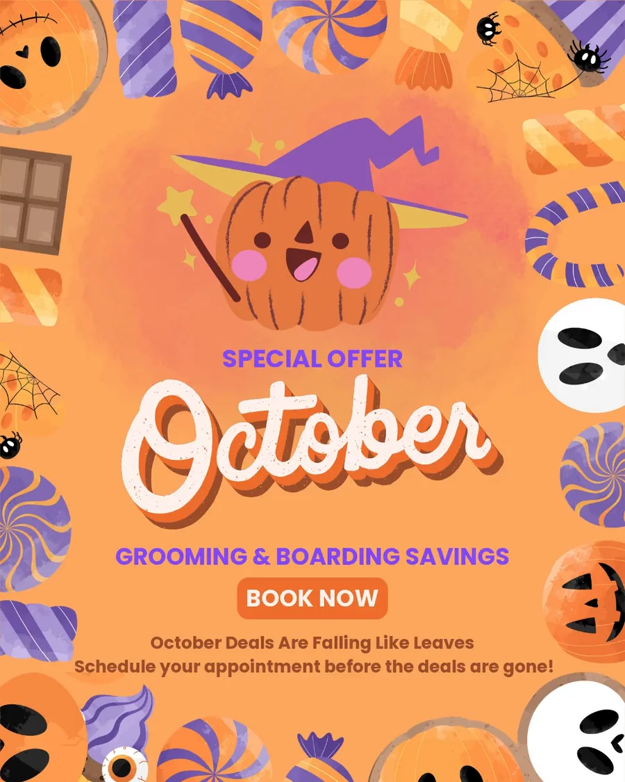 Special October offer. Grooming and boarding savings at McClure Veterinary Clinic. Book now before the deals are gone.